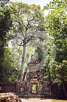 Angkor Thom Temple view, Siem reap, Cambodia