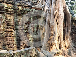 Angkor vat Cambodia