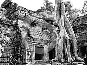 Angkor vat Cambodia