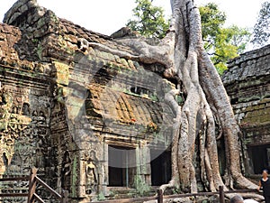 Angkor vat Cambodia