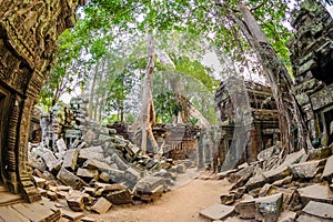 Angkor wat 16