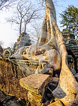 Angkor wat 17