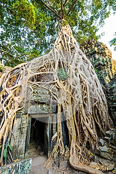 Angkor wat 38
