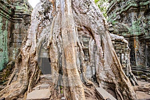 Angkor wat 40