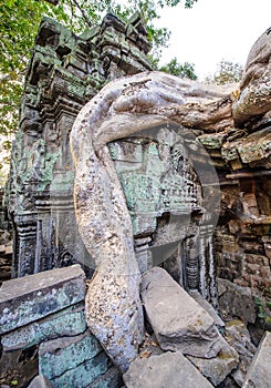 Angkor wat 41