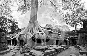 Angkor Wat Cambodia