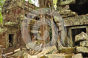 Angkor Wat, Cambodia. Khmer Ta Prom temple ruins