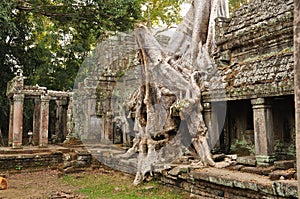 Angkor Wat, Cambodia. Preah Khan temple