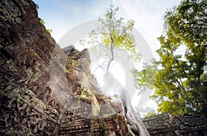 Angkor Wat Cambodia. Ta Prohm Khmer ancient Buddhist temple