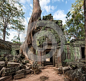 Angkor Wat Cambodia. Ta Prohm Khmer ancient Buddhist temple