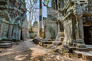 Angkor Wat Cambodia. Ta Prohm Khmer ancient Buddhist temple.