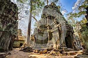 Angkor Wat Cambodia. Ta Prohm Khmer ancient Buddhist temple.
