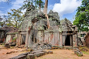 Angkor Wat Cambodia. Ta Prohm Khmer ancient Buddhist temple.