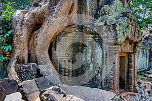 Angkor Wat Cambodia. Ta Prohm Khmer ancient Buddhist temple.