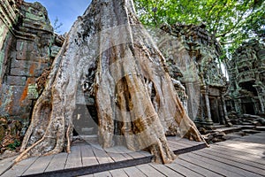 Angkor Wat Cambodia. Ta Prohm Khmer ancient Buddhist temple.