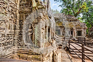 Angkor Wat Cambodia. Ta Prohm Khmer ancient Buddhist temple.