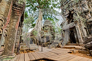 Angkor Wat Cambodia. Ta Prohm Khmer ancient Buddhist temple.