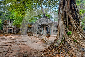 Angkor Wat Cambodia. Ta Prohm Khmer ancient Buddhist temple.