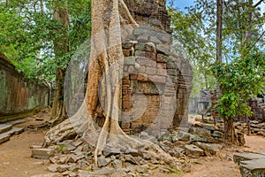 Angkor Wat Cambodia. Ta Prohm Khmer ancient Buddhist temple.