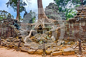 Angkor Wat Cambodia. Ta Prohm Khmer ancient Buddhist temple.