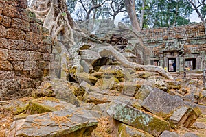 Angkor Wat Cambodia. Ta Prohm Khmer ancient Buddhist temple.