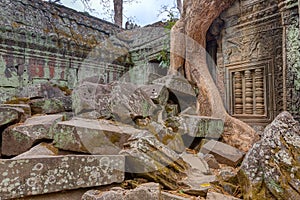 Angkor Wat Cambodia. Ta Prohm Khmer ancient Buddhist temple.