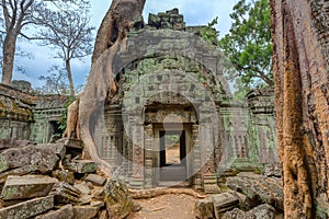 Angkor Wat Cambodia. Ta Prohm Khmer ancient Buddhist temple.