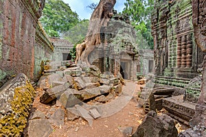 Angkor Wat Cambodia. Ta Prohm Khmer ancient Buddhist temple.