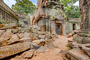 Angkor Wat Cambodia. Ta Prohm Khmer ancient Buddhist temple.