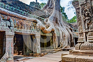 Angkor Wat Cambodia. Ta Prohm Khmer ancient Buddhist temple.