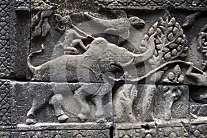 Angkor Wat Elephant Warrior Close-Up Relief