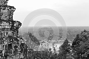 Angkor wat Forest View