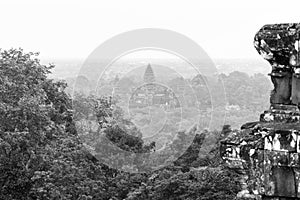 Angkor wat Forest View