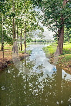 Into Angkor Wat jungle