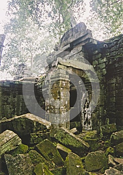 Angkor wat jungle temple cambodia