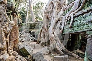 Angkor wat 36