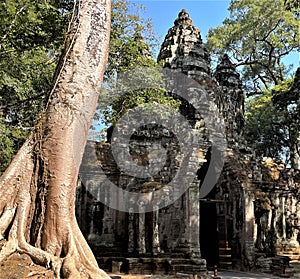 Angkor wat ruins, art, and temples at Siem Reap, Cambodia