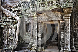 Angkor wat ruins, art, and temples at Siem Reap, Cambodia