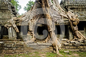 Angkor Wat, Siem Reap, Cambodia