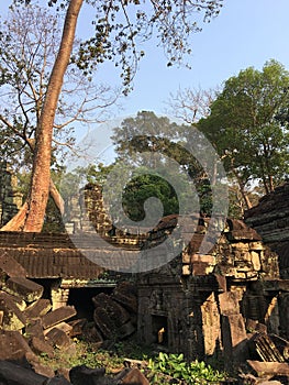 Angkor Wat in Siem Reap, Cambodia. Ancient Khmer stone temple ruins in jungle forest