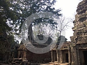 Angkor Wat in Siem Reap, Cambodia. Ancient Khmer stone temple ruins in jungle forest