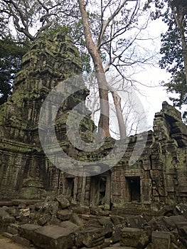 Angkor Wat in Siem Reap, Cambodia. Ancient Khmer stone temple ruins in jungle forest