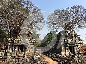 Angkor Wat in Siem Reap, Cambodia. Ancient ruins of Khmer stone temple overgrown with the roots and giant strangler fig trees