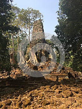 Angkor Wat in Siem Reap, Cambodia. Ancient ruins of Preah Palilay Khmer stone temple overgrown with the roots and giant trees