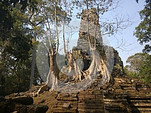 Angkor Wat in Siem Reap, Cambodia. Ancient ruins of Preah Palilay Khmer stone temple overgrown with the roots and giant trees