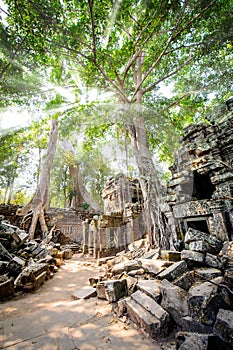Angkor wat 20