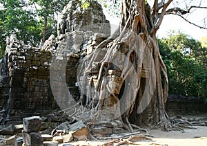 Angkor Watt complex temple