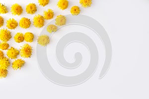 Angle frame made of fresh yellow Dandelion flowers on white background. Summer conceprt