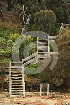 Angle staircase in forest