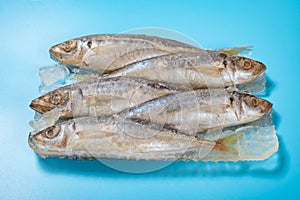 angle view frozen brown-striped mackerel scads on blue background